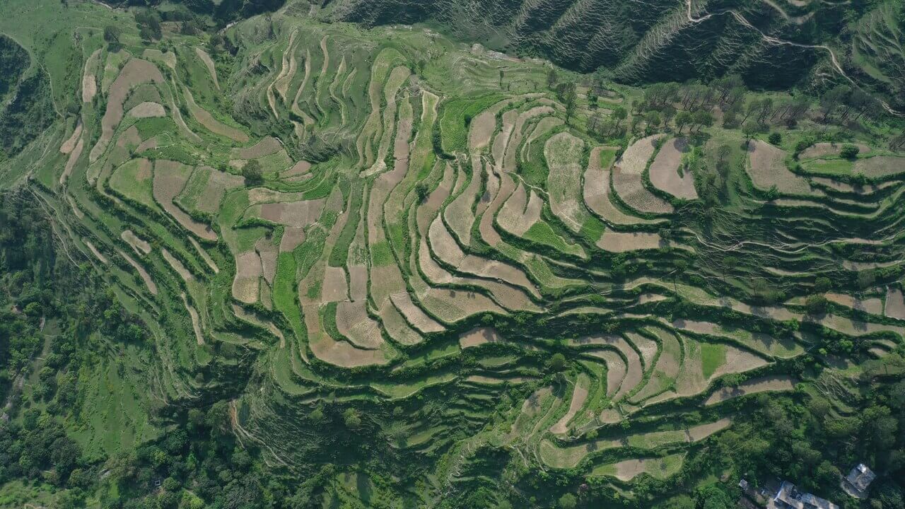 top view of aerial farming in almora