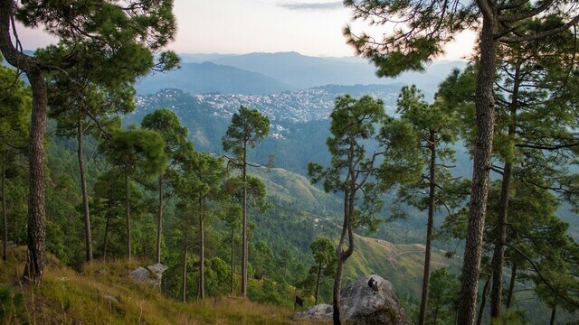 view of almora in the distance from nearby hill