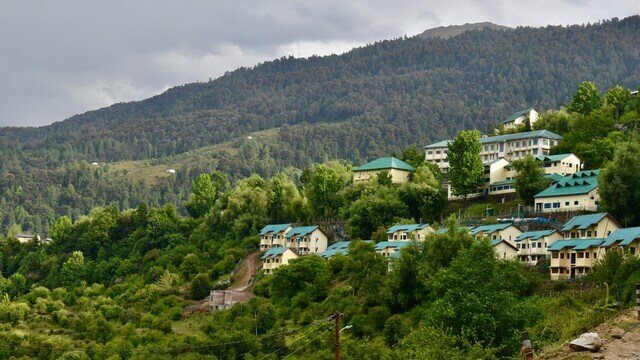 houses nested in the mountains surrounded by green trees in auli