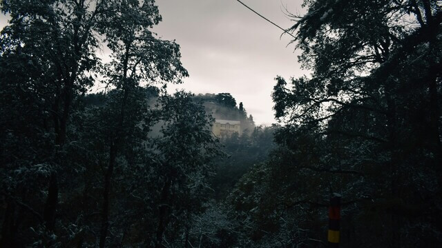 a mansion visible through forest in chakrata