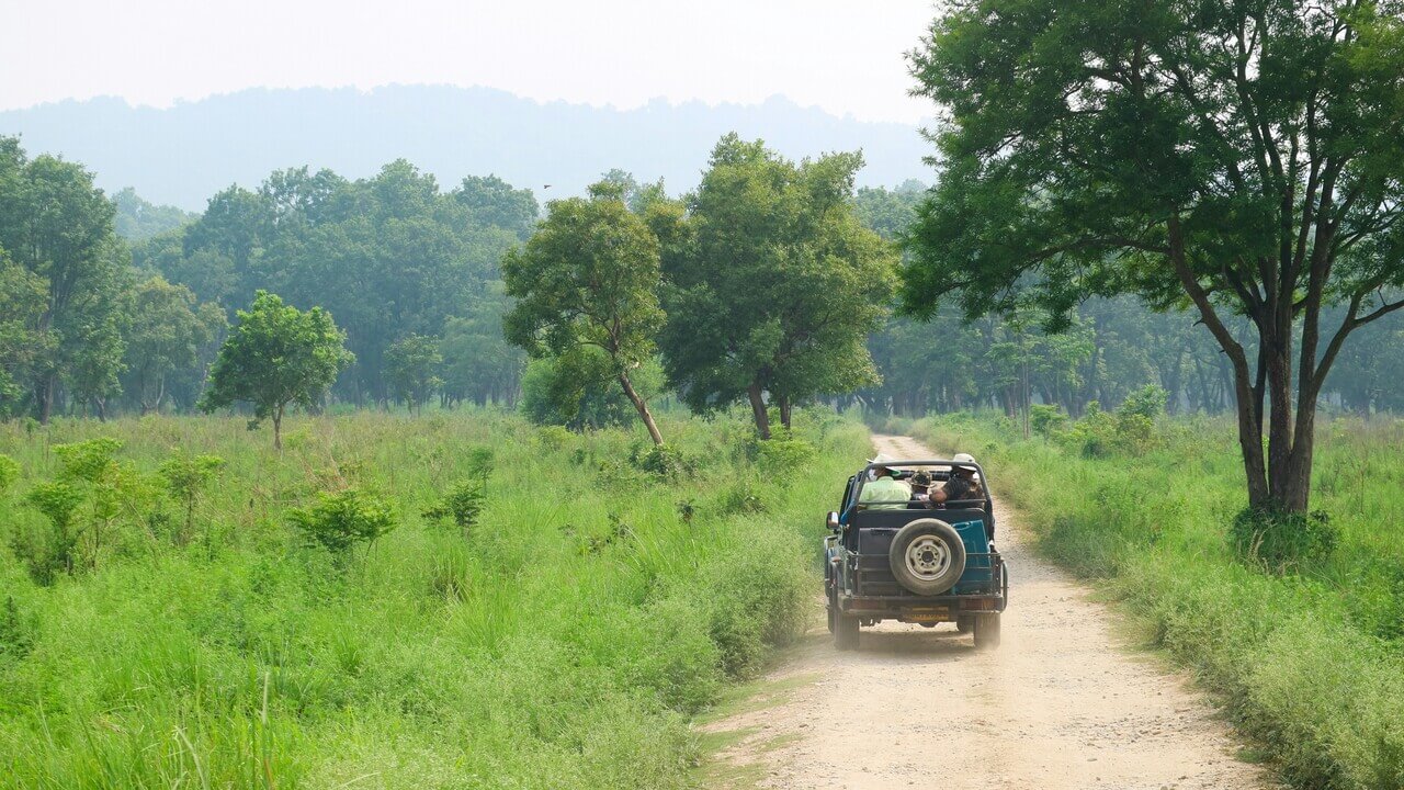 view of jeep driving along the road during safari in jim corbett national park