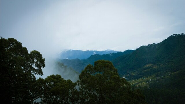 hills covered in greenery in kausani