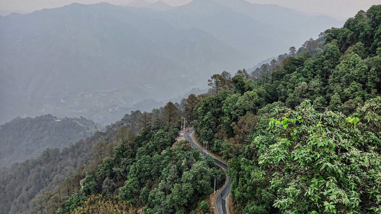 road turning around mountain surrounded by tall trees in lansdowne