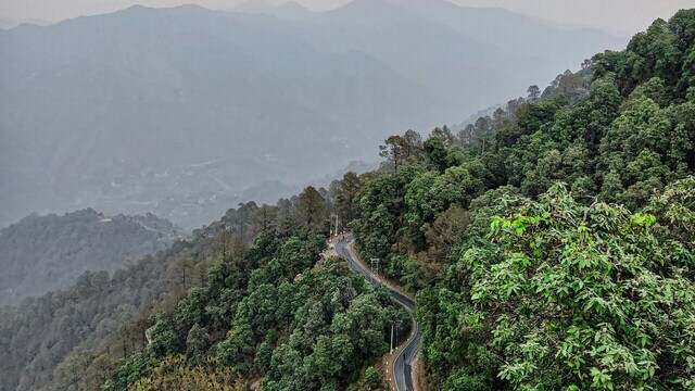 road turning around mountain surrounded by tall trees in lansdowne